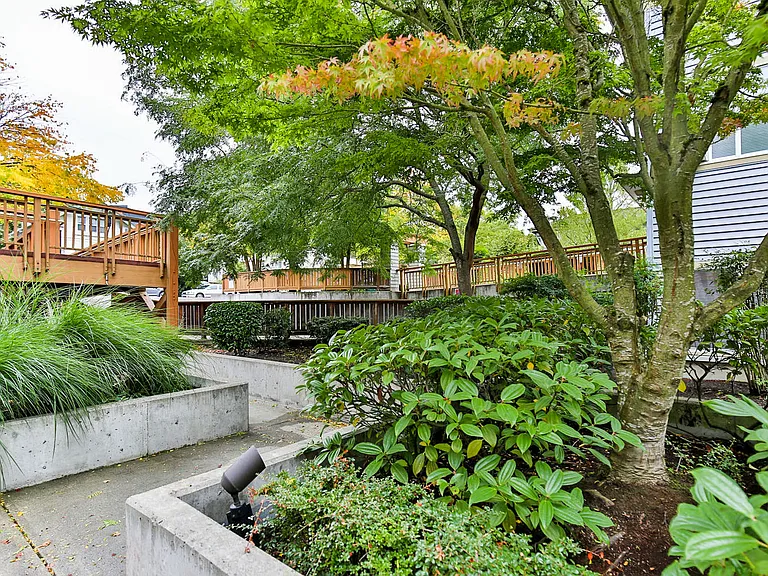 Ivy Ridge Apartments — Photo 32