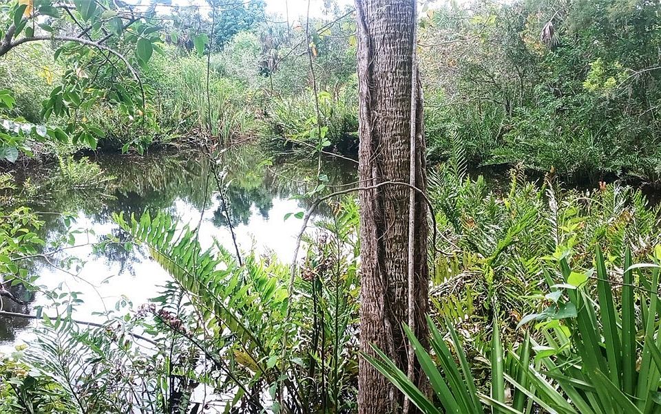 1st image of 17011 Cypress Creek Dr