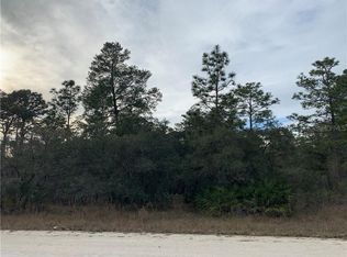 7433 Mandrake Rd, Weeki Wachee, FL 34613