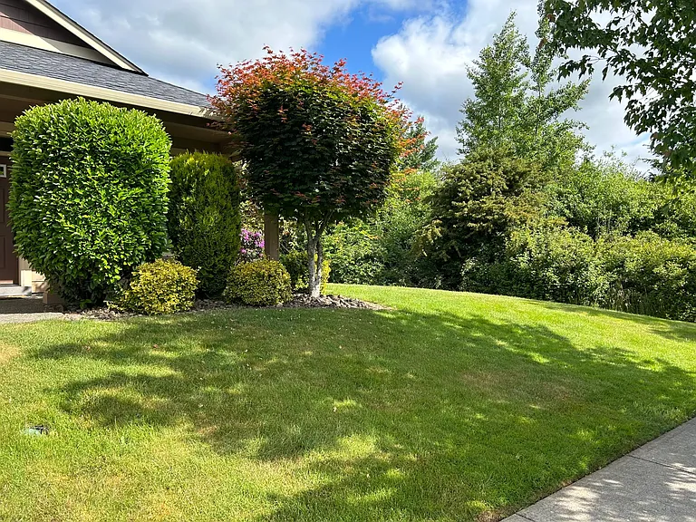 509 N Helens View Dr — Photo 3
