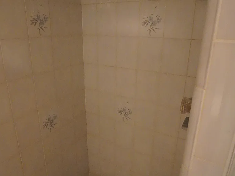 1219 Ash Dr — Photo 15
