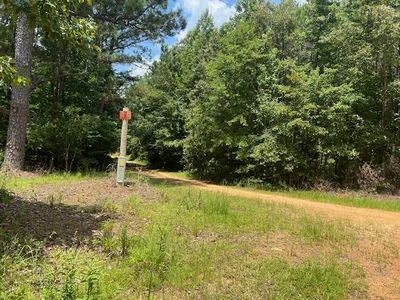 2350 County Line Rd, Thomaston, AL, 36783