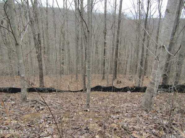 60 W Bobcat Ln, Wilder, TN 38589