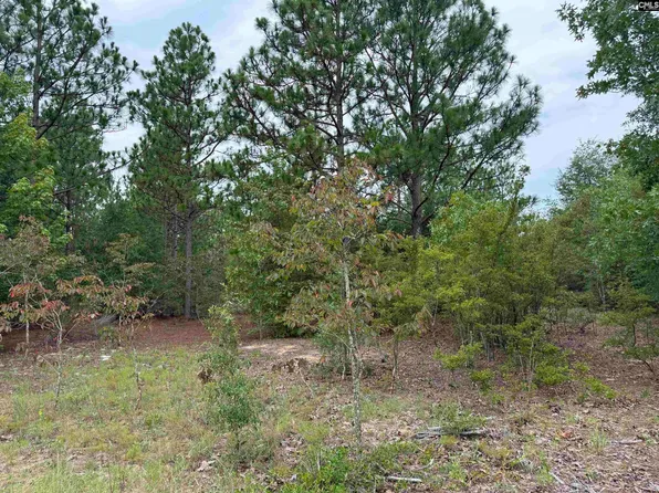 0 Collum Pond Rd, Wagener, SC 29164