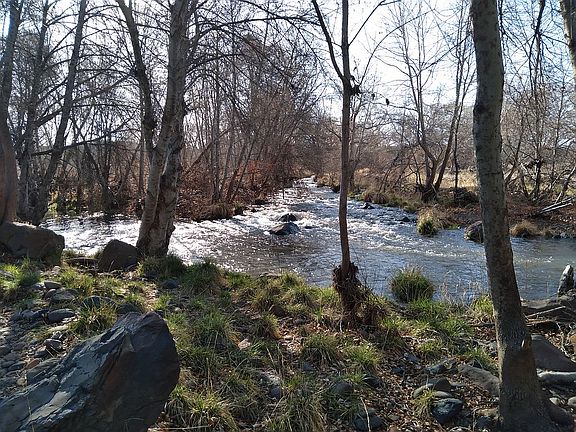 3rd image of 10215 E Creekside Dr