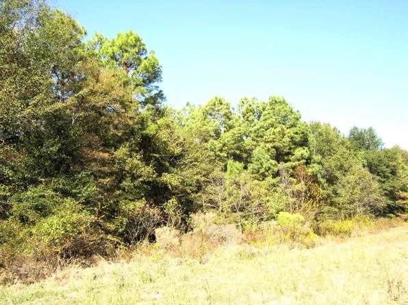 1041 N Constitution Ave #A, Ashdown, AR 71822