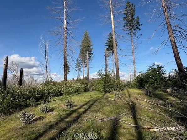 0 Bald Rock Rd, Berry Creek, CA 95916