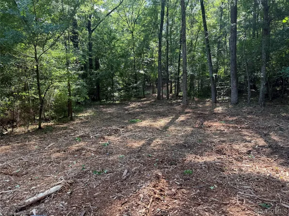 2350 Spigener Rd, Titus, AL 36080