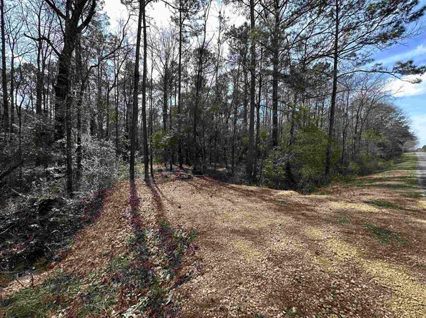 25028 Adams Pond Rd, Opp, AL 36467