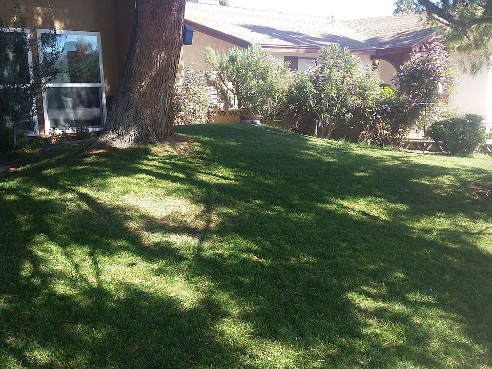 Front yard