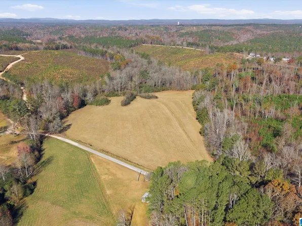 0 County Road 84 #0, Heflin, AL 36264