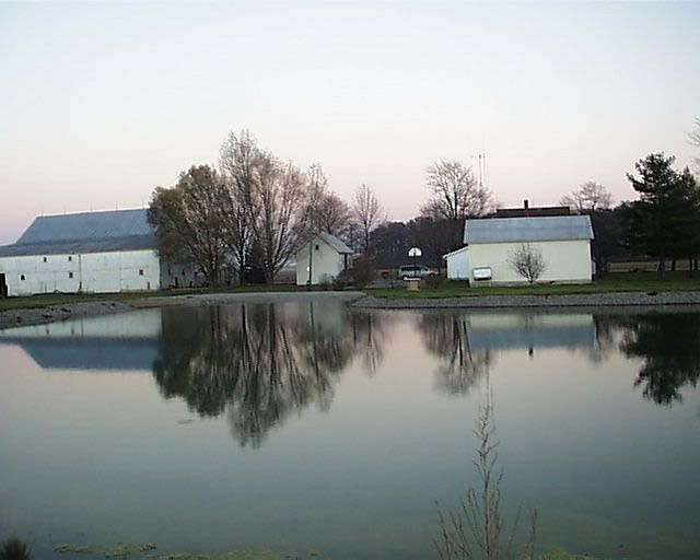 Overlooking the farm from the back of the property