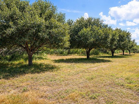 3rd image of TBD Zinnia Road