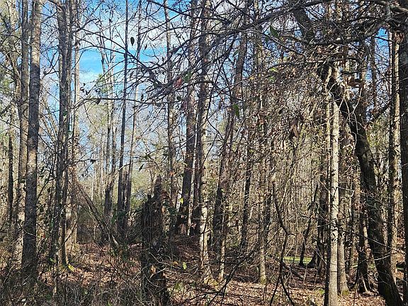 2nd image of 0 Red Rd Lot 10