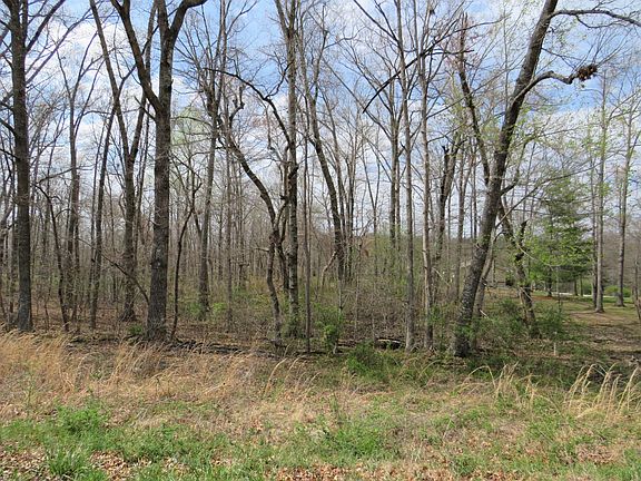 2nd image of 0 Poplar Dr Lot 13