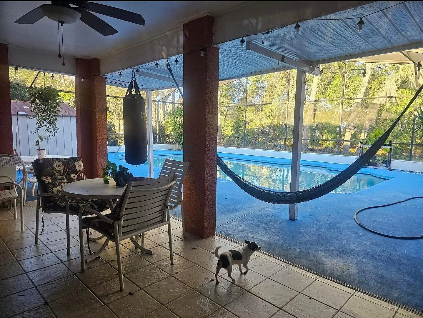 Anise Pl, Poinciana — Photo 3