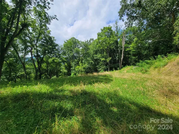 1300 Glades Rd, Clyde, NC 28721
