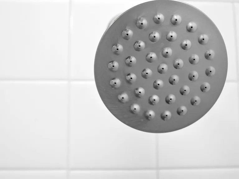 Bathroom Tile + Shower Head