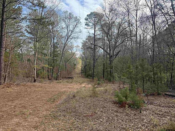3rd image of 15485 County Road 46