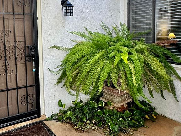 5th image of 6800 E Dorado Ct