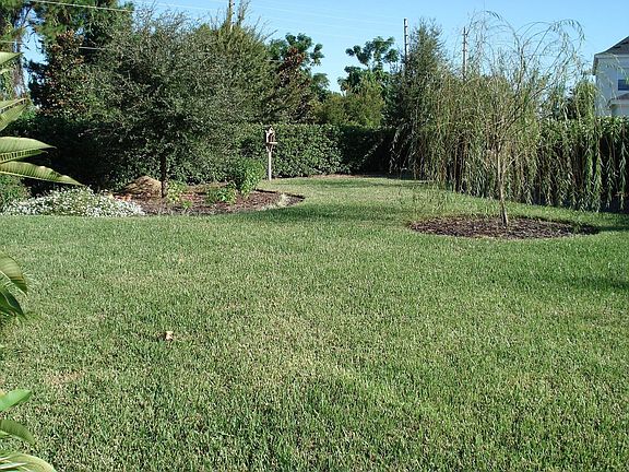 Big yard!