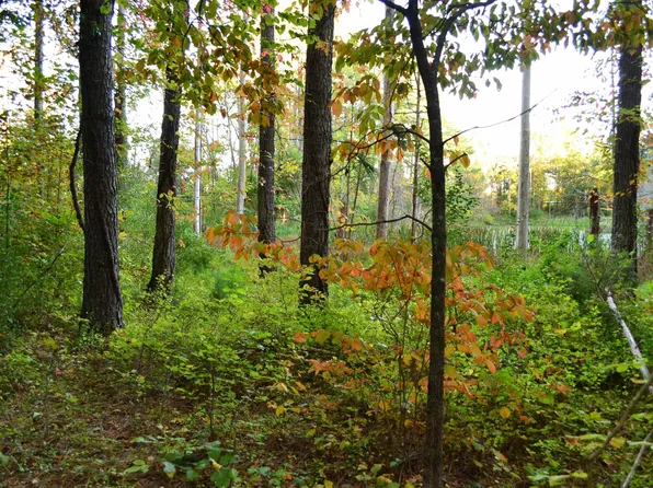 2A Scottsville Rd, Charlottesville, VA 22902