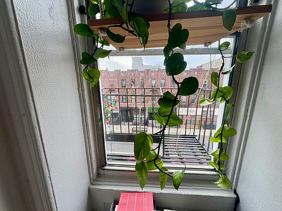 3rd image of 139 Rogers Ave APT 1C