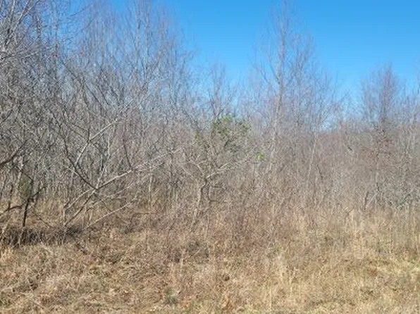 123 Warriors Path Ridge Rd Lot 70, Summertown, TN 38483