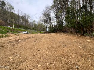 6562 Highway 19e, Roan Mountain, TN 37687