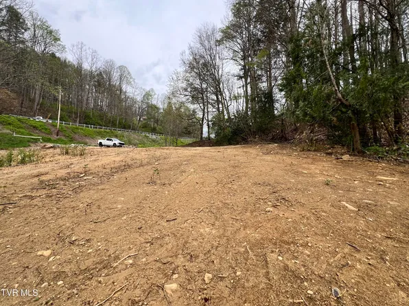 6562 Highway 19e, Roan Mountain, TN 37687