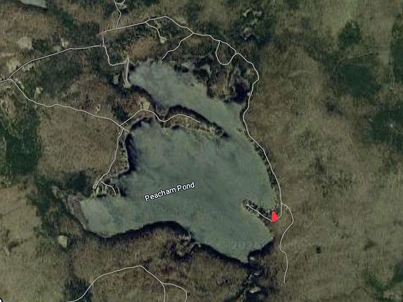 4th image of 111 Paine Road