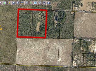 40 Acres Camp Nebo Rd, Holt, FL 32564