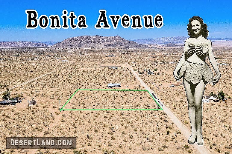 1st image of Bonita Ave