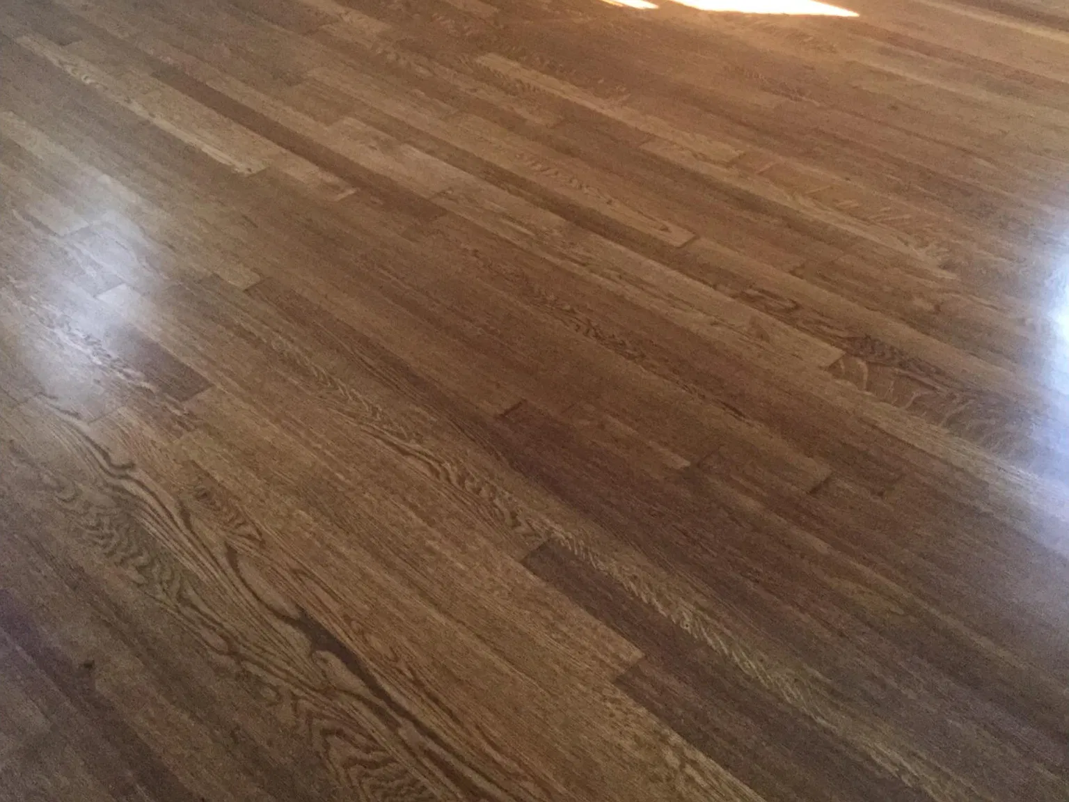 250 Dogwood Ln — Photo 3