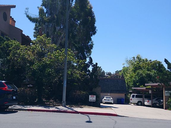 Beautiful Mature Trees