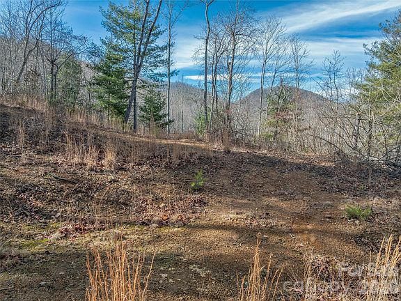 3rd image of 99999 High Top Mountain Rd