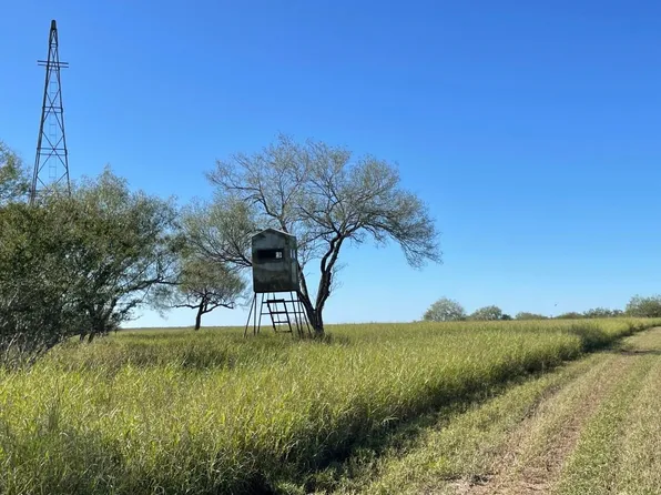 2366 County Road 283, Benavides, TX 78341