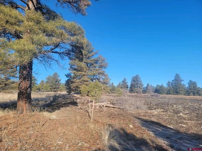 176 Landau, Pagosa Springs, CO, 81147