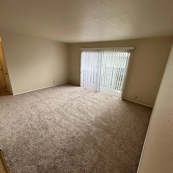 586 Berry Ave #5 — Photo 3