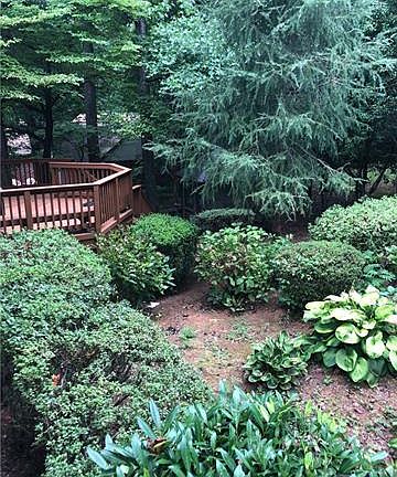 4th image of 1184 Orchard Dr