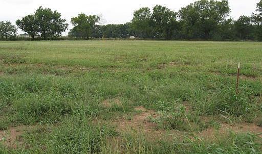 5th image of 11501 Pamplona Way Lot 5