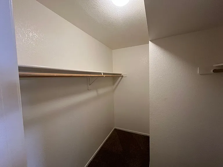 275 Star Cluster Cir — Photo 10