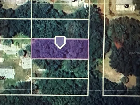 LOT NW 4th Dr Lot 4, Lake Panasoffkee, FL 33538