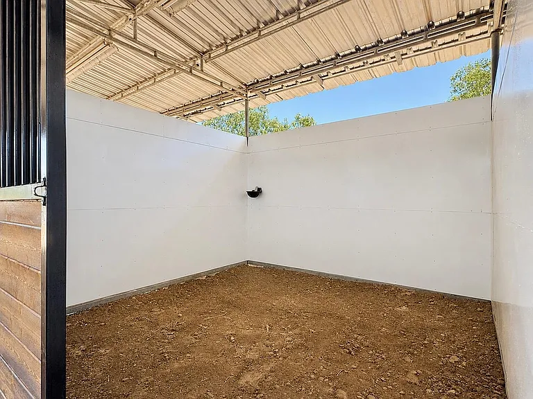 23510 Rose Quartz Dr — Photo 32