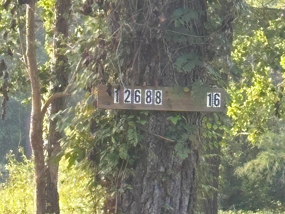 2nd image of 12688 Fop Lodge Rd