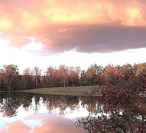 3rd image of 1193 Murray School Rd