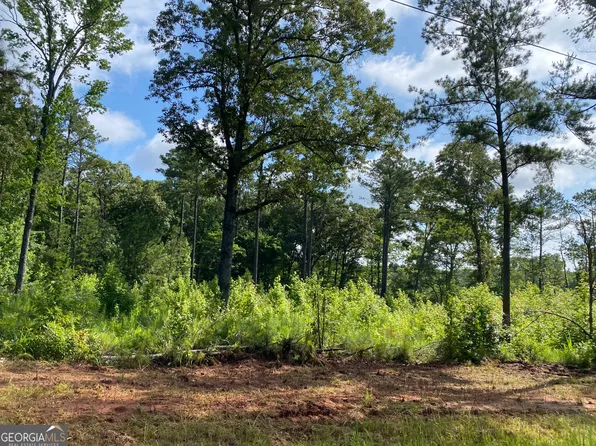 671 Giles Rd, Forsyth, GA 31029