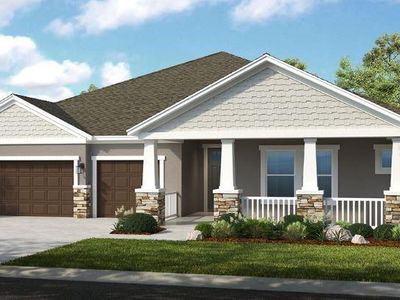 2471 Overfalls Pl, Wesley Chapel, FL, 33543