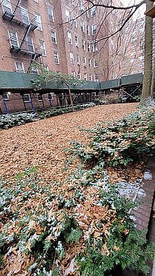 3rd image of 83-57 118th St #C