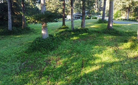 3rd image of Clearwater Cove Way #2800